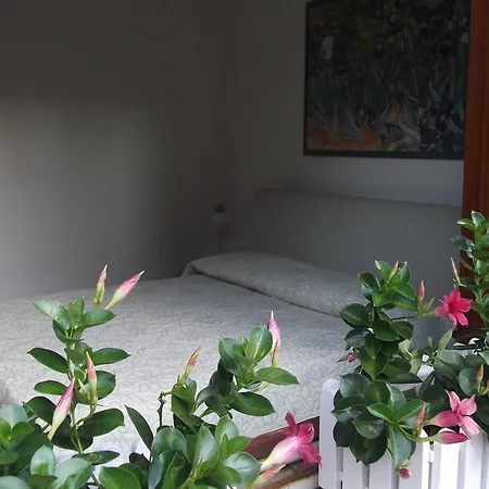 Bed & Breakfast Agli Aceri Verona